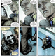 Reggie fails to stop Veidt once and for all, just as Walter Kovacs did before him.